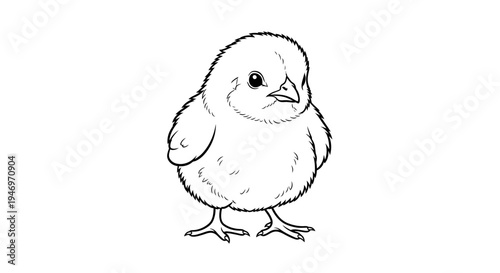 Cute and charming black and white hand-drawn illustration of a fluffy baby chick, an innocent bird ideal for springtime concepts and educational materials or farm designs