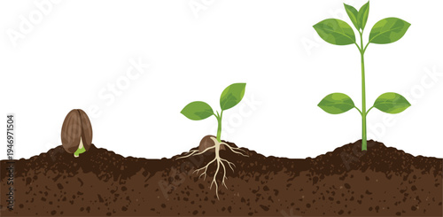 Plant Growth Stages Icon Set Featuring Seed, Germination, and Seedling Development for Gardening and Nature Designs