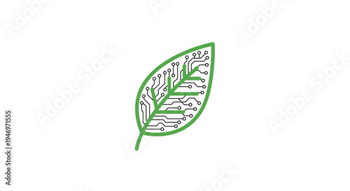 Detailed illustration of a green leaf.