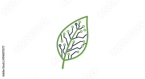 Detailed illustration of a single leaf.