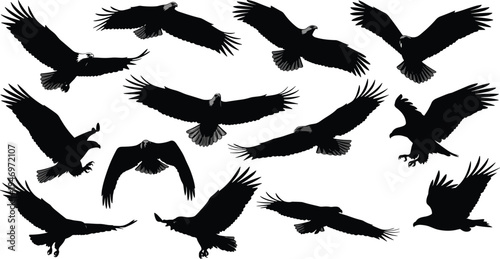 Mega collection of black bird silhouettes featuring soaring eagles large flying raven flocks migrating seagulls and small songbirds perched on wires isolated on white background