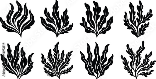 Seaweed silhouette set, black and white underwater coral vector illustration, ocean plant elements, isolated marine aquatic foliage on white background, design.