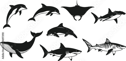 Black and white marine animals on white background dolphins whales sharks stingrays