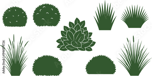 Garden plant and bush silhouettes collection including ornamental shrubs, grass and succulent plants isolated on white background