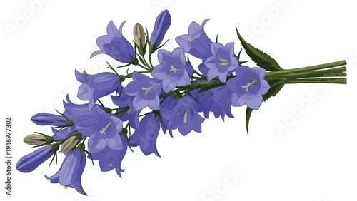 Beautiful blue bellflowers arranged in a bouquet on a plain white background symbolize grace and gratitude in nature.