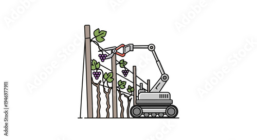 Excavator Harvesting Grapes from Vineyard.