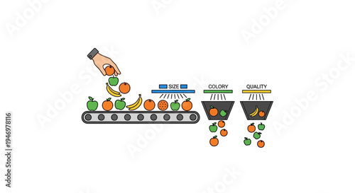 Food sorting on a conveyor belt.