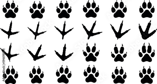 Set of black animal paw prints and bird track silhouettes featuring predators, pets, wild animals, and avian footprints for nature design