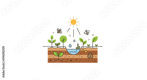 Green plants growing in brown soil.