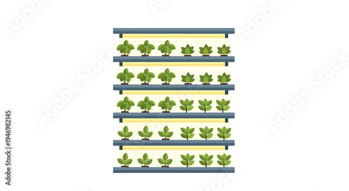 Green plants on a shelf indoors.