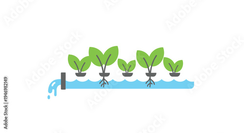 Green plants growing in water system.