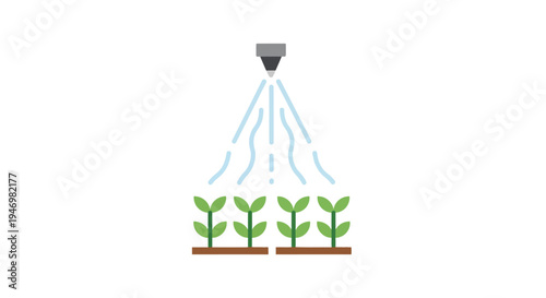 Green plants receiving water droplets.