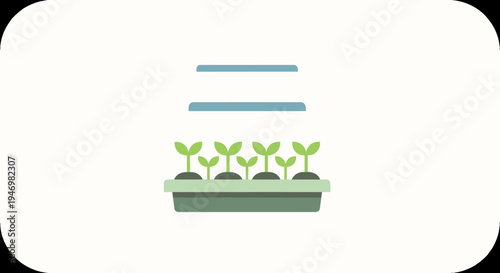 Green seedlings in a planter box.