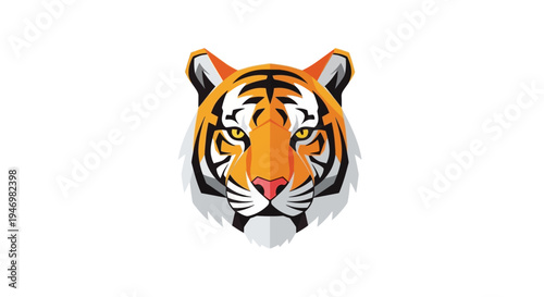 Tiger Head Illustration with Orange Fur.