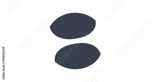 Two Black Contact Lenses Isolated White.