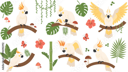 Cute cockatoo parrots on branches with tropical leaves flowers butterflies and mushrooms jungle wildlife bird collection flat vector illustration
