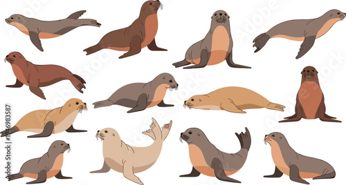 Sea Lion Character Collection with Different Swimming, Sitting and Resting Poses in Marine Wildlife Cartoon Style for Ocean Education and Aquarium Designs.
