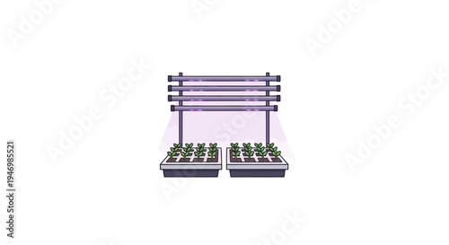 Indoor Growing System with Seedlings.