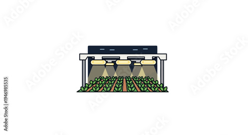 Indoor hydroponic farm growing plants.