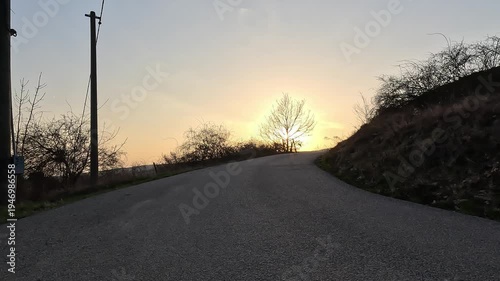 Low angle road view with tree silhouette against sunset sky