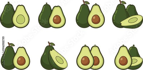 Avocado fruit vector illustration set with whole and sliced avocados, healthy organic food icons collection for nutrition, vegan diet design isolated