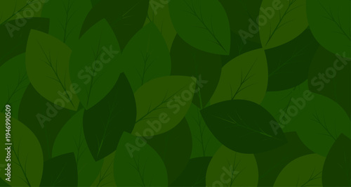 sfondo, foglie, foglia, natura,  vivaio, piante, 