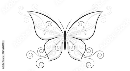 Detailed illustration of a butterfly.