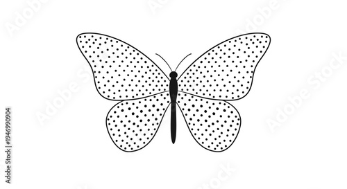Detailed illustration of a butterfly.