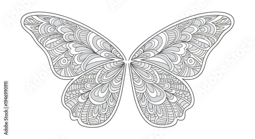 Detailed butterfly with ornate wings.