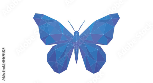 Blue Butterfly Wings Spread Wide Open.