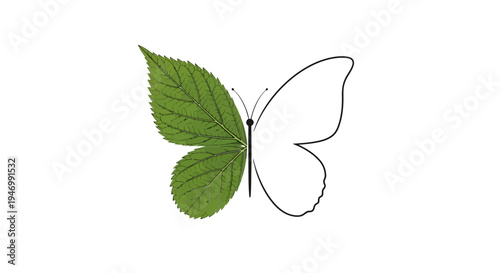 Butterfly with green leaf wings.
