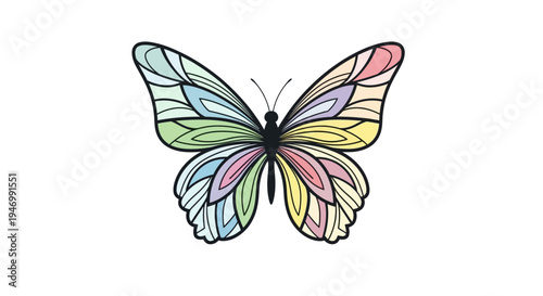 Colorful Butterfly with Open Wings.