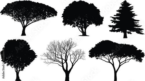 Tree silhouette icon set, nature graphics, forest and landscape symbols, botanical diversity figures, black vector, white background
