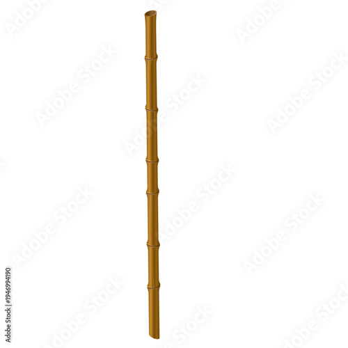Isolated Single Tall Bamboo Stick
