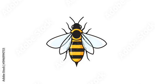 Detailed illustration of a flying honeybee with yellow and black stripes and transparent wings in a dynamic pose on transparent background