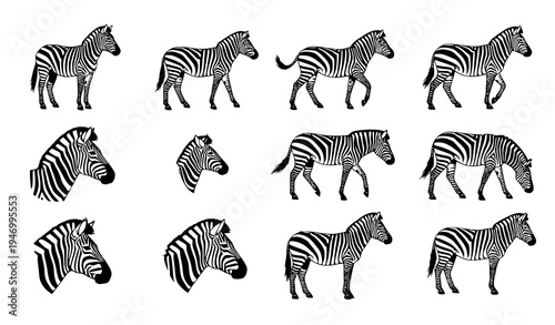 Zebra silhouette vector icon set wildlife animal EPS design