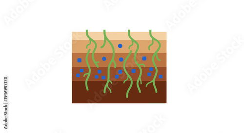 Skin layers with green nerve endings.