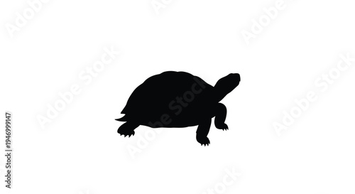 A dark turtle form walking forward shown as a silhouette