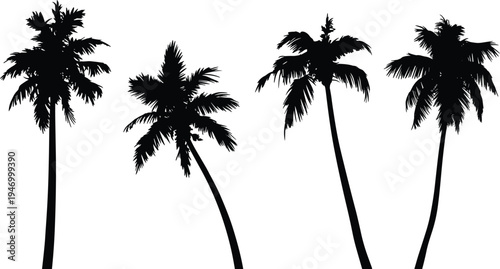 Palm tree silhouette icon set, tropical nature graphics, beach and summer symbols, exotic plant figures, black vector, white background