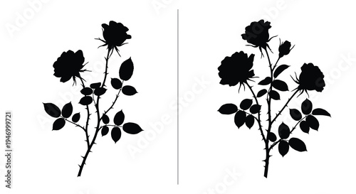 Floral arrangements of roses displayed in a striking black silhouette