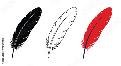 Three feathers in varying colors and styles a striking silhouette