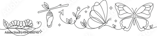Butterfly life cycle line art illustration with caterpillar chrysalis and adult insect stages, educational metamorphosis diagram isolated on white background