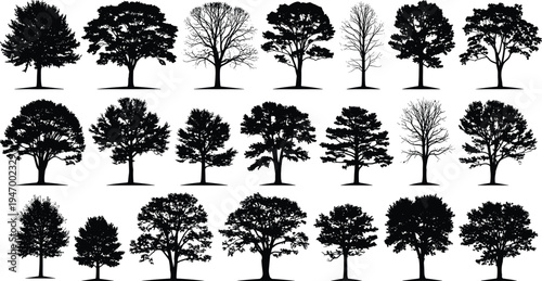 Forest tree silhouettes collection, detailed deciduous woodland trees isolated, botanical nature elements for landscape, park and environmental design