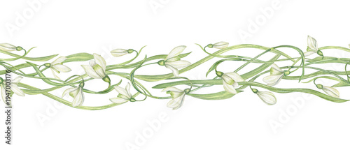 daffodil, flower, border, watercolor, white, spring, easter, narcissus, frame, wildflower, template, flower head, garland, bouquet, summer, copy space, horizontal, rectangle, nature, perennial, march,