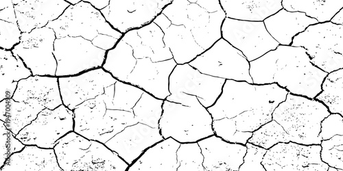 Organic cracked earth texture with natural fracture lines in bold monochrome, ideal for geological themes, decay concepts, or rustic background elements.	