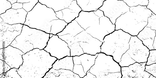 Organic cracked earth texture with natural fracture lines in bold monochrome, ideal for geological themes, decay concepts, or rustic background elements.	