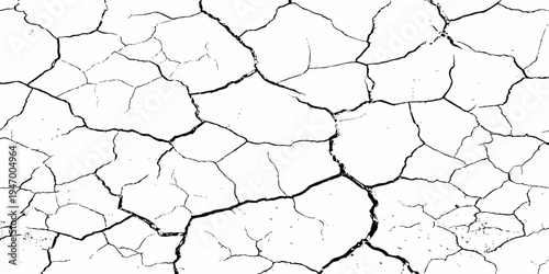 Organic cracked earth texture with natural fracture lines in bold monochrome, ideal for geological themes, decay concepts, or rustic background elements.	