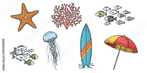 Detailed hand drawn illustration of starfish, coral reef, school of fish, jellyfish and surfboard for summer design