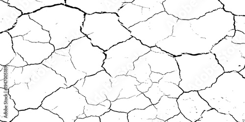 A high-contrast, black and white texture overlay of extensively cracked and distressed dry ground, featuring jagged, organic fissures and subtle granular details against a stark white background.	