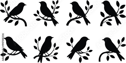 Bird silhouettes perched on branches icon set, nature wildlife animal illustration collection, flying bird vector design